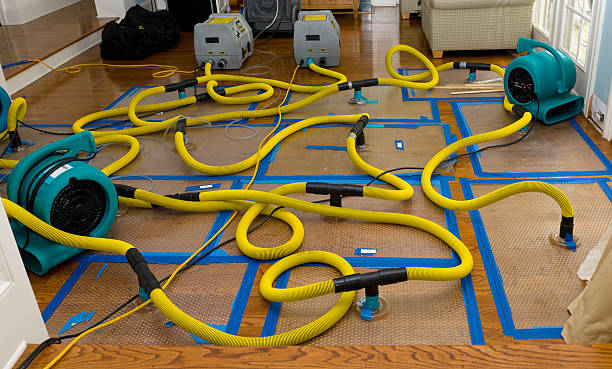 Professional Crawl Space Water Removal technician working in Columbiana, OH